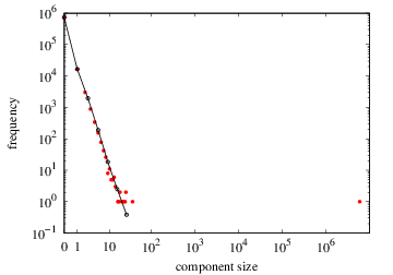 Connected-components size distribution